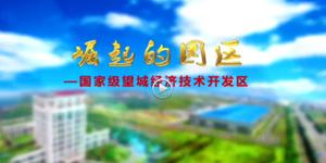 保卫母亲河——望城新闻天卓公司专题报道